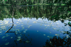 Gaku・PhotoTrip : 森と湖の国
