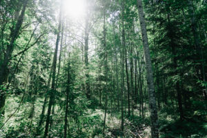 Gaku・PhotoTrip : 森と湖の国